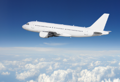 Wedding Bells and Tapping for Jet Lag