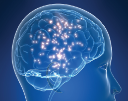 How Chronis Stress Effects the Brain